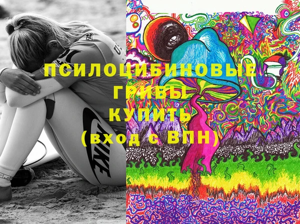 ПСИЛОЦИБИНОВЫЕ ГРИБЫ Зерноград