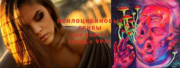 ПСИЛОЦИБИНОВЫЕ ГРИБЫ Зерноград
