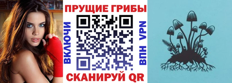 Купить закладки Малмыж Галлюциногенные грибы Psilocybine cubensis